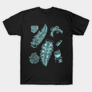 Nudibranch Sea Slug T-Shirt